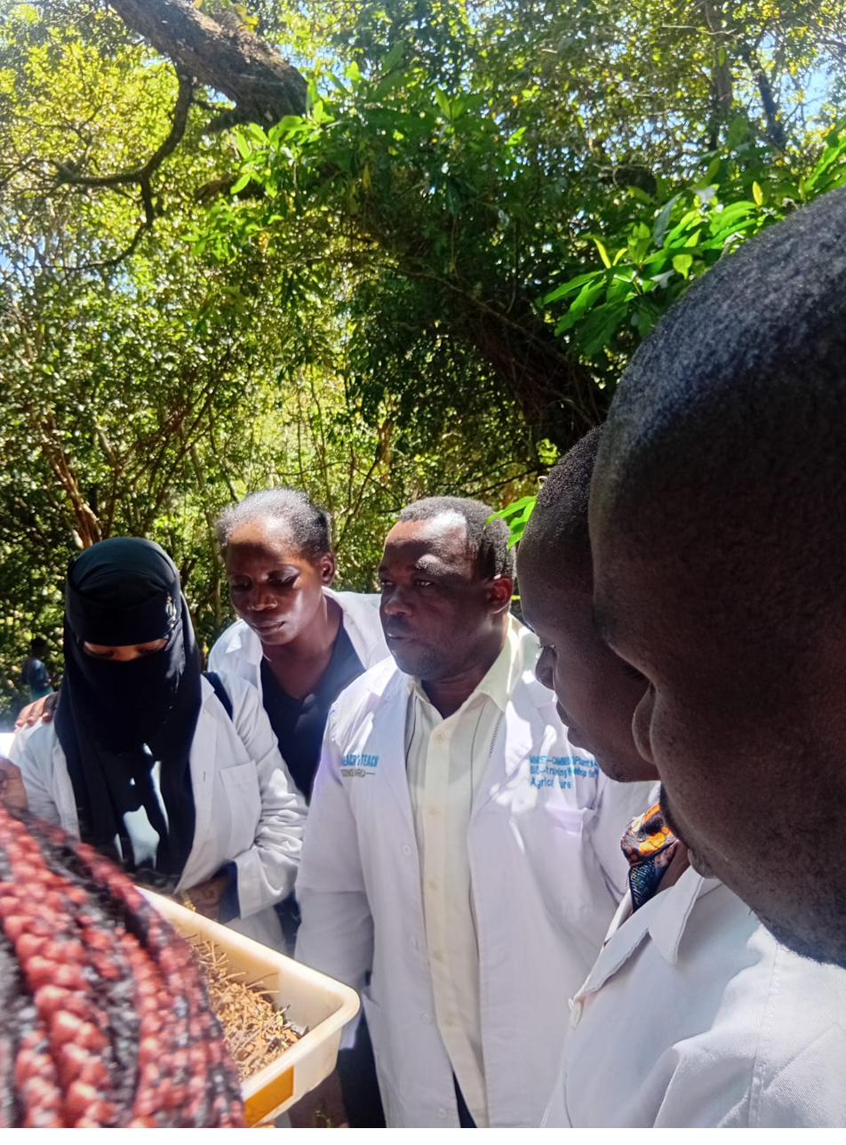 Jairus Shisungu Anale in a lab coat with research colleagues examining ant specimens in the field