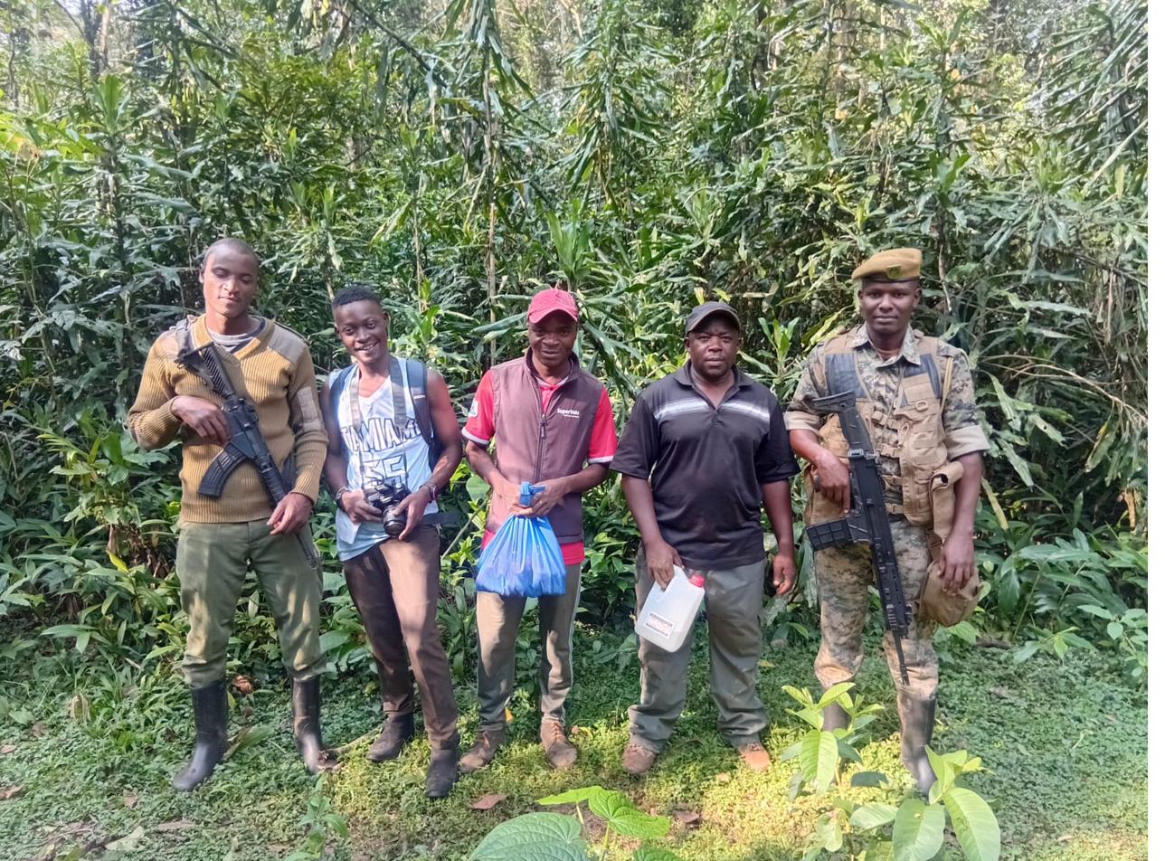 Sifting leaf litter in a montane forest using a sorting tray